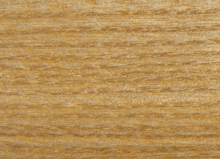 дуб  Т-07 дуб  Т-07